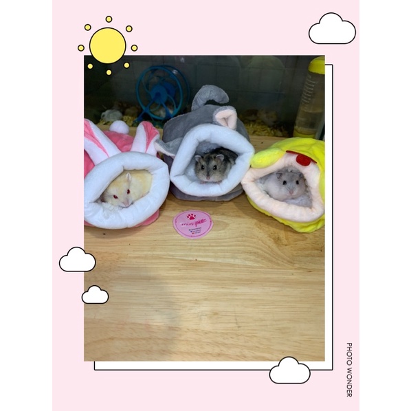 nhà ngủ bông hình thú dễ thương cho hamster