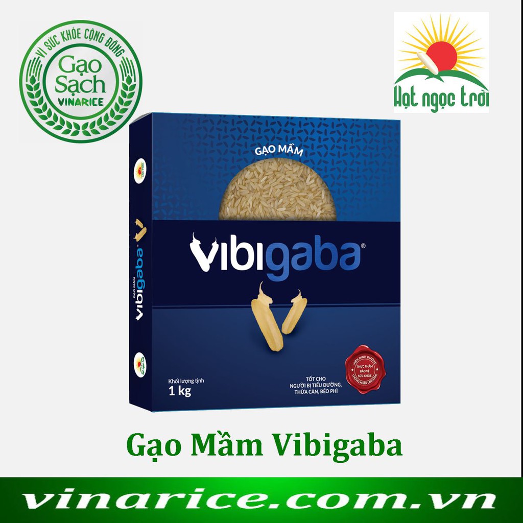 Gạo Mầm Vibigaba 1Kg - Bảo vệ sức khỏe | BigBuy360 - bigbuy360.vn