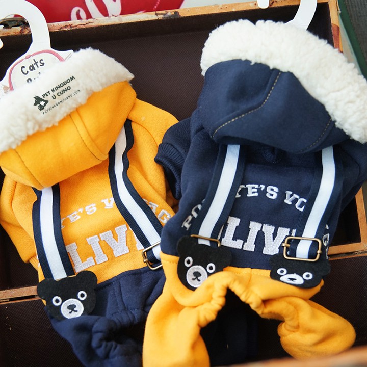 Quần áo chó mèo - gấu teddy