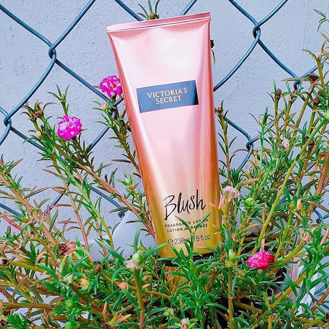Lotion dưỡng da Blush Victoria's Secret-Hương: grapefruit blossom & magnolia-236ml/8fl oz