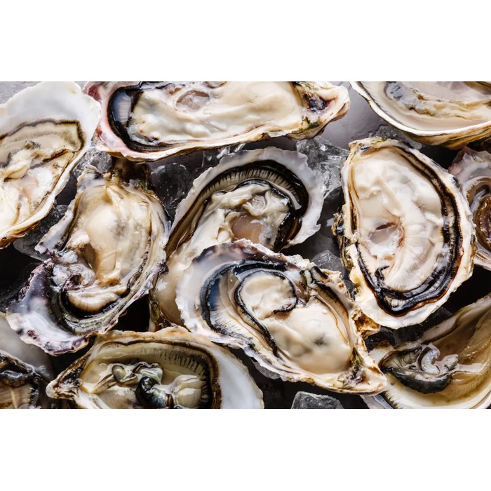 Tinh chất Hàu biển Úc Oyster Plus [CHÍNH HÃNG]