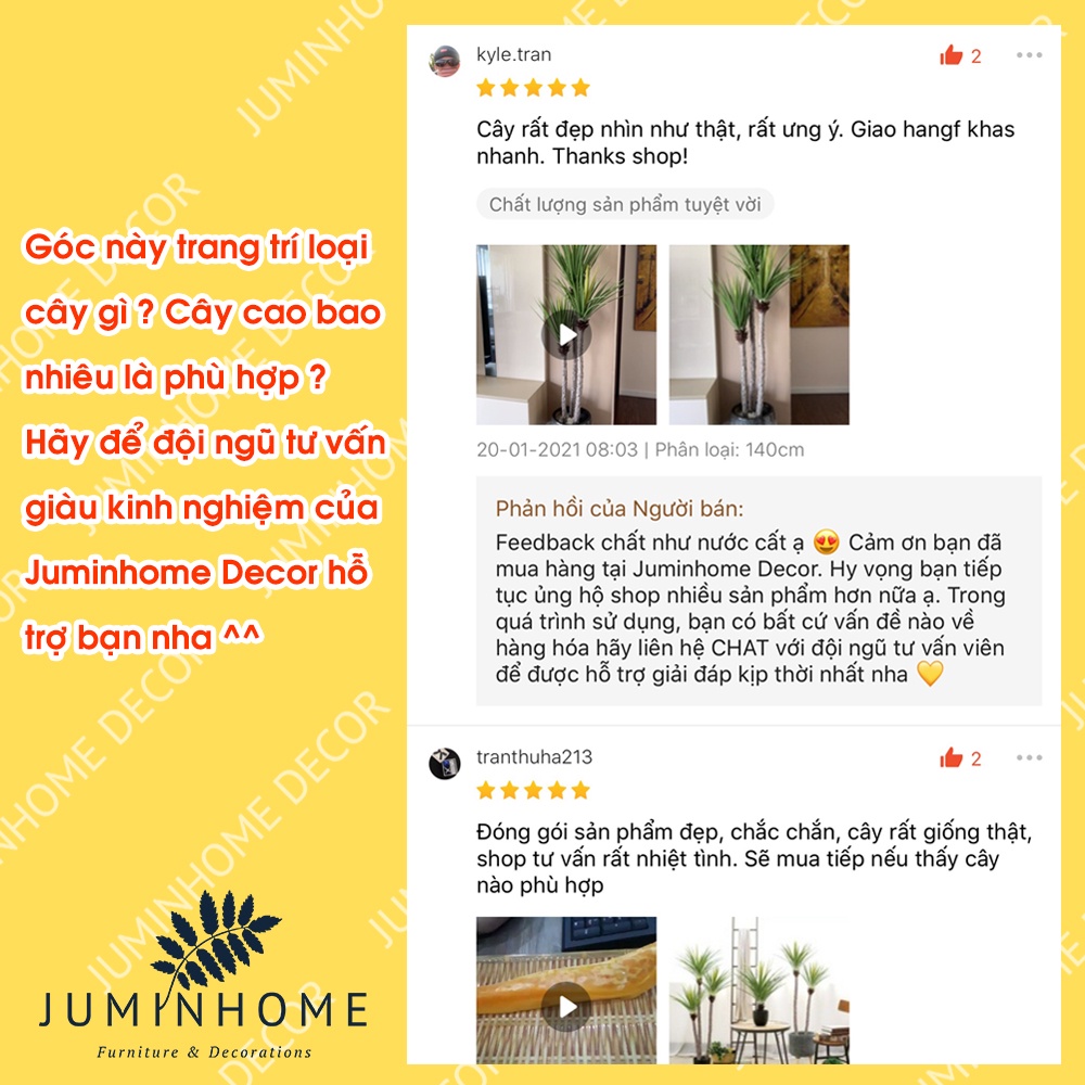 Cây giả, Cây phát tài núi giả, thiết mộc lan giả - Cây giả decor trang trí nhà cửa nội thất phòng khách phòng ngủ