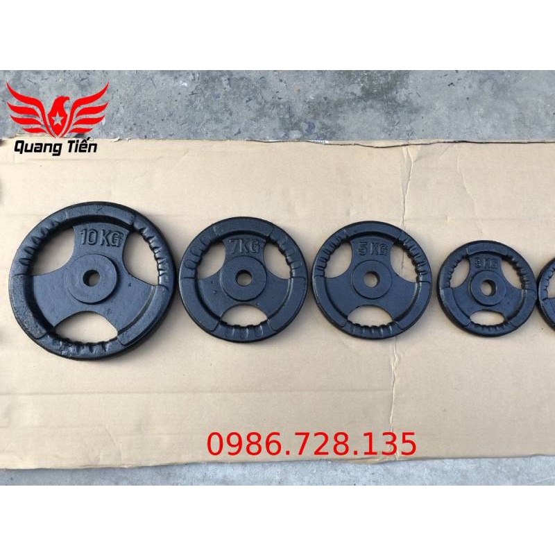 Tạ bánh gang 20kg, tạ đĩa gang 20kg phi 30 lỗ nhỏ QT08