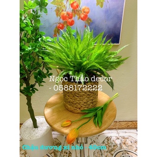 Dương xỉ xoăn giả - cây giả trang trí