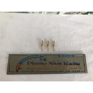 Bét phụ bình xăng con.