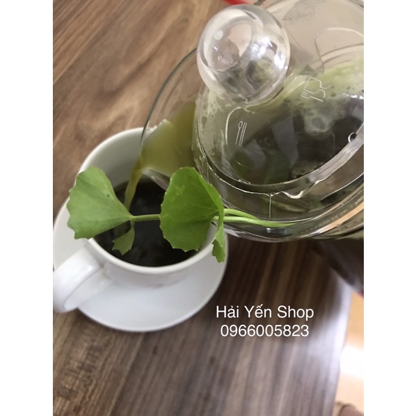 1kg rau má tươi sạch cực ngon