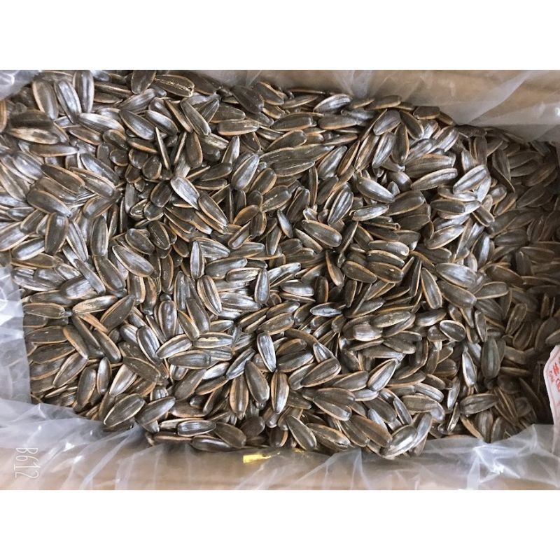 Sỉ 1kg hướng dương tẩm đủ vị