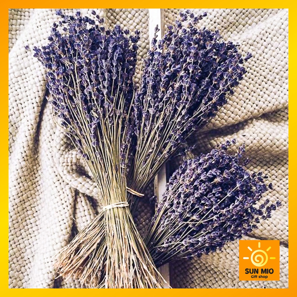 Hoa khô Lavender Pháp 250 cành (Hoa oải hương Pháp)