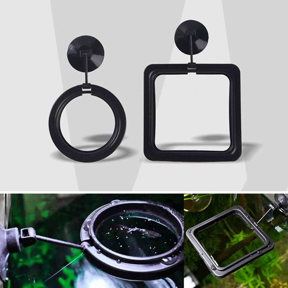 Khay Nổi Vuông/Tròn Cho Cá Ăn Gắn Bể Cá - Vòng Giữ Thức Ăn Cho Cá