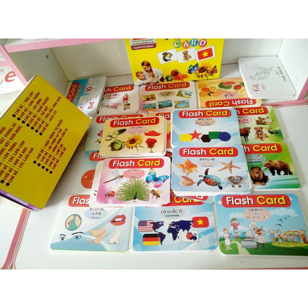 [THẺ SIZE TO] Bộ Thẻ Học Thông Minh 19 Chủ Đề song ngữ loại chuẩn Glenn Doman Flashcard phát triển tư duy cho bé