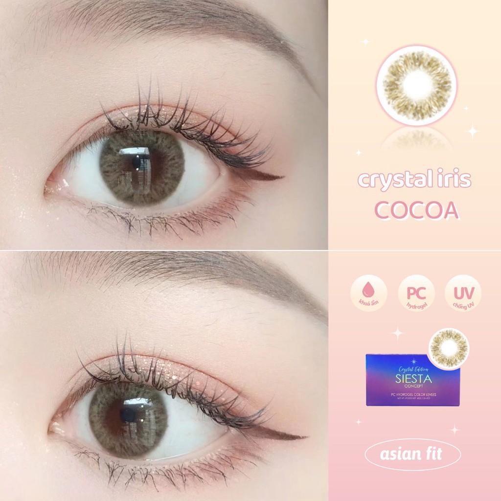 Kính Áp Tròng nâu hạt dẻ Siesta Iris Cocoa dành cho mắt nhạy cảm - Pc Hydrogel | Hạn sử dụng 6 tháng