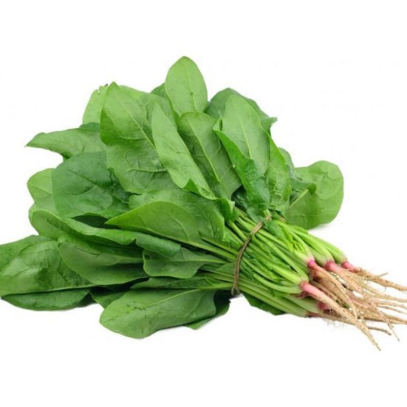 hạt giống cải bó xôi rau chân vịt rau bina- bina seeds