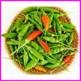 Gói 0.4g hạt giống ớt xiêm - Mina Shop