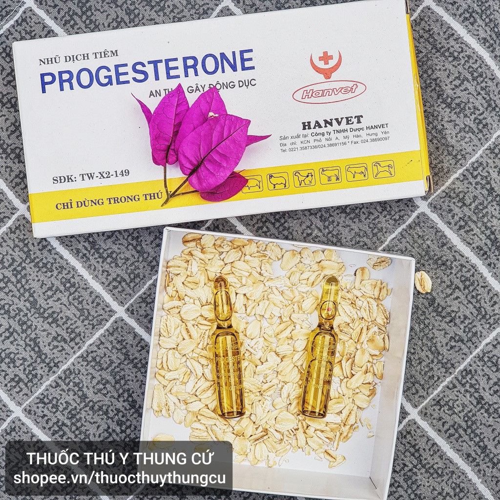 Progesterone - Dung dịch tiêm an thai cho chó mèo, lợn và gia súc