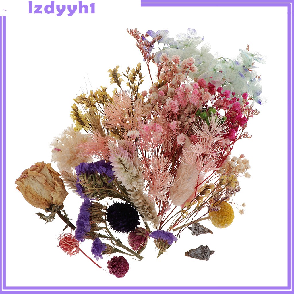 1 Hộp Hoa Khô Tự Nhiên Dùng Làm Thẻ Trang Trí Sổ Tay JoyDIY