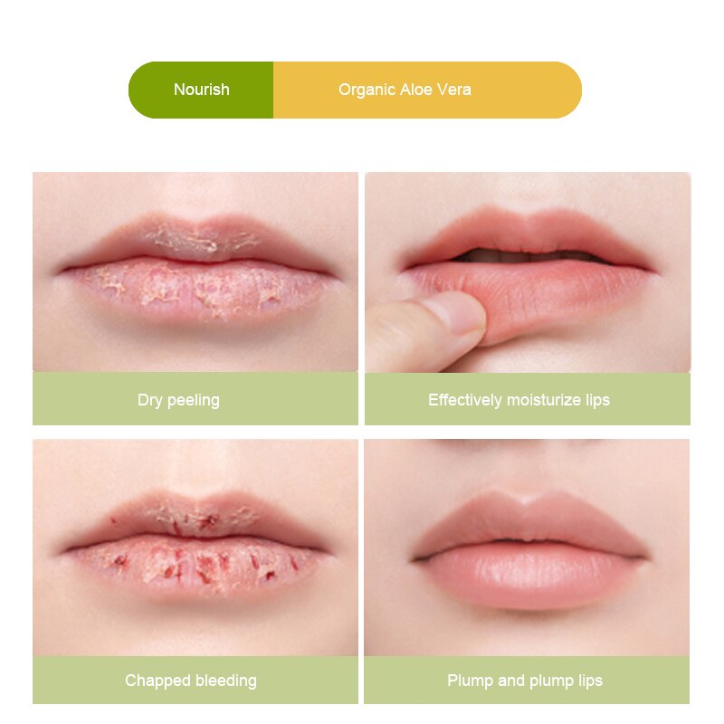 [Hàng mới về] Son Dưỡng Môi Chiết Xuất Thực Vật Dưỡng Ẩm Chống Nứt Nẻ Thương Hiệu Kiss Beauty | BigBuy360 - bigbuy360.vn