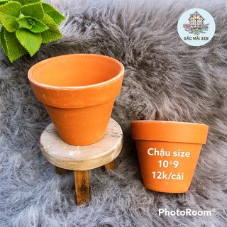 Combo 10 chậu đất nung trồng sen đá giá rẻ