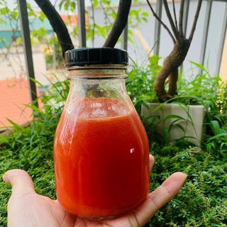 Chai thủy tinh vuông lùn nắp nhựa 300ml