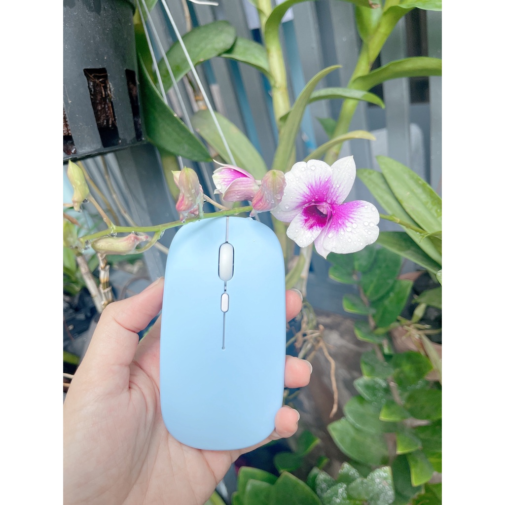Chuột Máy Tính Không Dây Silent Song Bảo Store Độ Nhạy Cao Dành Cho Laptop, PC [ Bảo Hành 1 đổi 1 ]