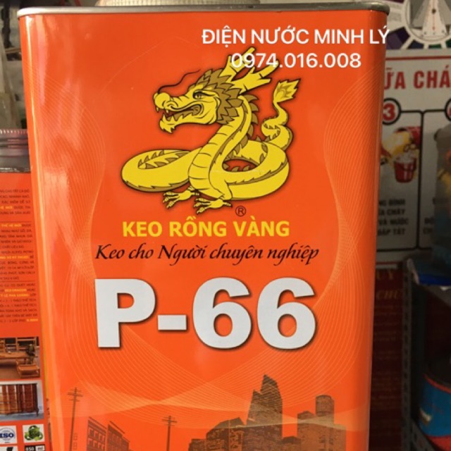 KEO RỒNG VÀNG P66 3,3 Kg