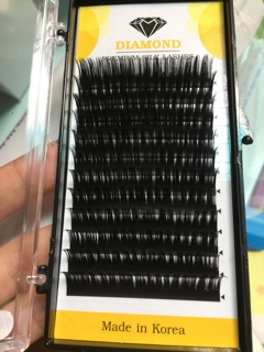 Mi Hoa Hồng Đen (Hoa Trà)