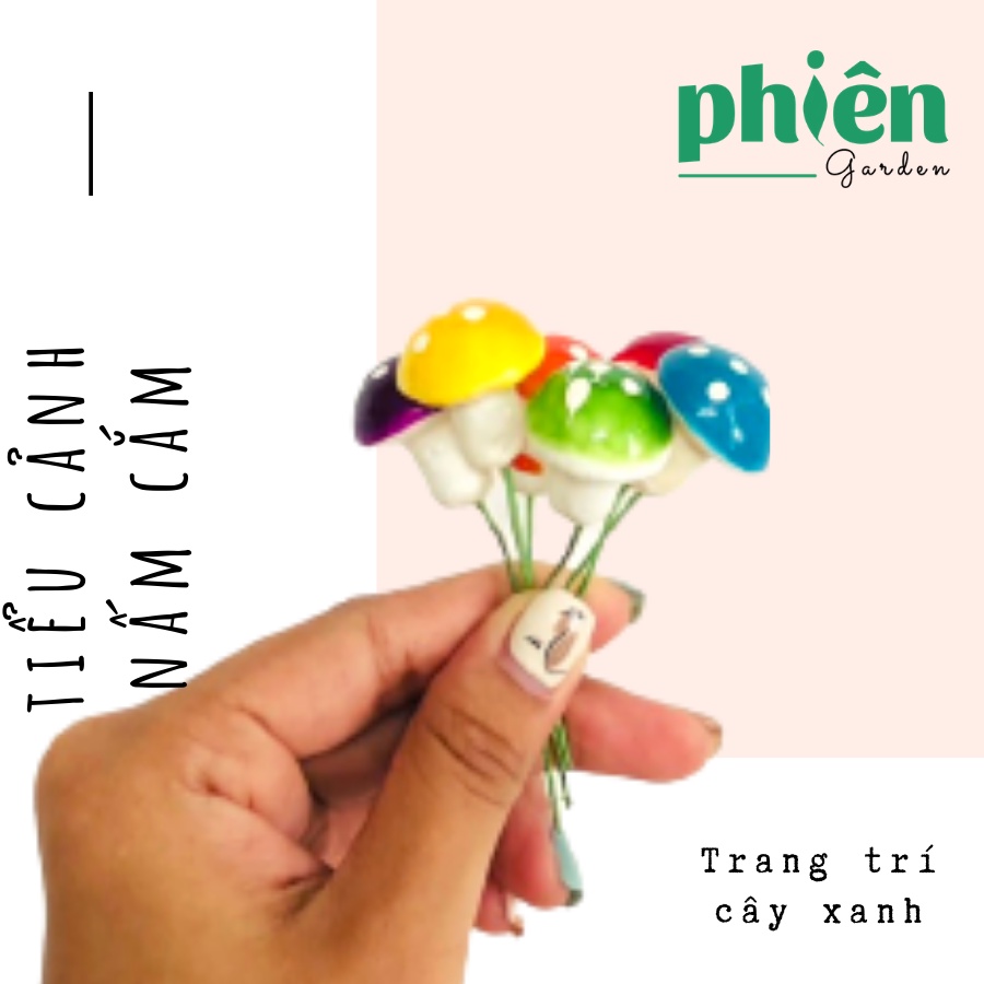 Cây Nấm trang trí tiểu cảnh, sen đá, terrarium, Phụ kiện Tiểu cảnh mini