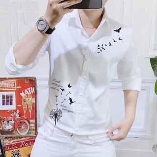 [GIẢM SỐC] Xả kho hàng đẹp _ Áo sơ mi cao cấp kate lụa dài tay Hàn Quốc _ CỰC CHẤT, số lượng có hạn