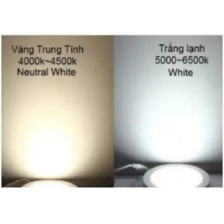 Combo 3 đèn led rọi ray ống bơ 12w + thanh ray 1m.
