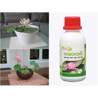 Dung Dịch Thủy Canh Hydroponic 500ml