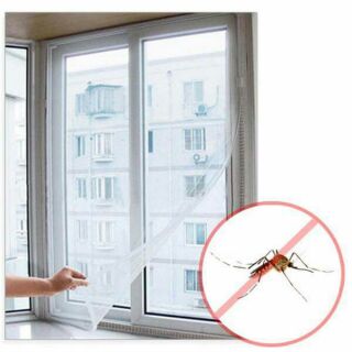Lưới chống muỗi và côn trùng