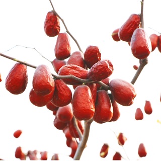 Táo Tàu ( Táo đỏ chưng yến) 50g 100g