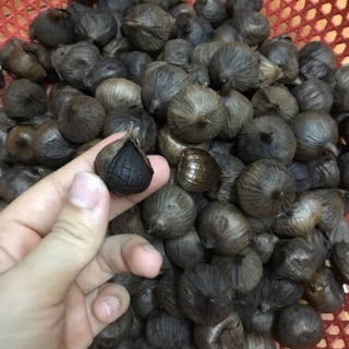 Tỏi đen 1 nhánh. tỏi sơn la.