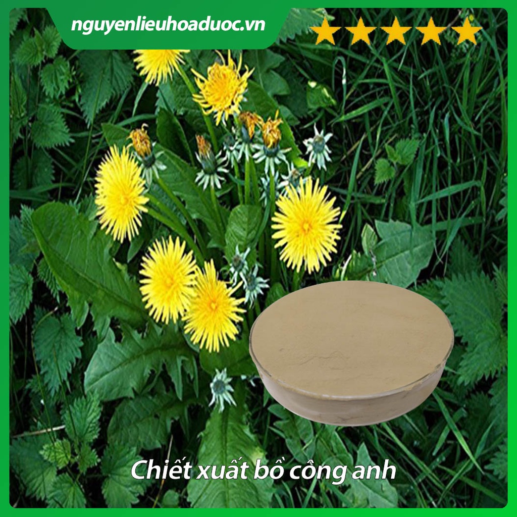 Bột cao khô Bồ công anh 50g, 100g