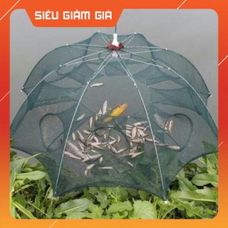 R Lồng bát quái bẫy cá lươn,trạch,tôm,tép v.v...