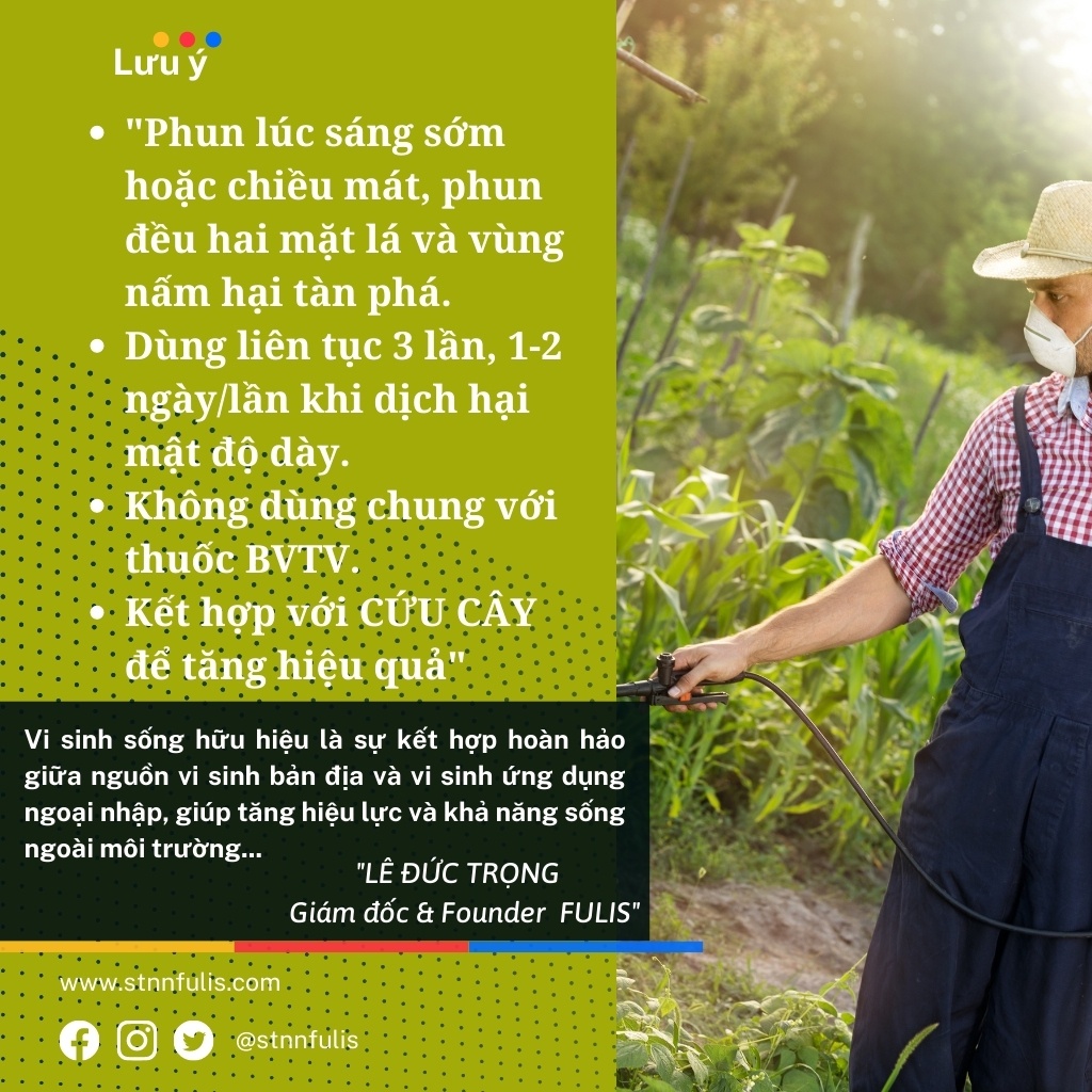 Chế Phẩm Sinh Học Phòng Trị Nấm Khuẩn Hại GHÉT NẤM Cho Hoa Lan, Hồng, Cây Ăn Quả, Rau Màu Chính Hãng Giá Rẻ - stnnfulis