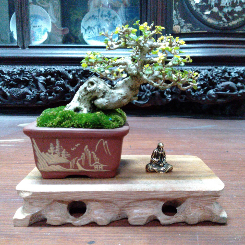 Tượng Bồ đề đạt ma mini bằng đồng giá rẻ làm phụ kiện tiểu cảnh, phụ kiện bàn trà, trang trí bonsai, làm quà tặng | BigBuy360 - bigbuy360.vn