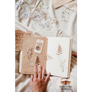 STICKER CỎ DẠI GIẤY MATTE- bộ sticker 60 miếng