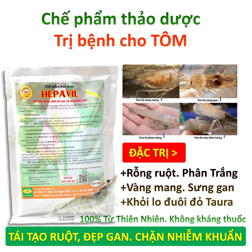 Chế phẩm thảo dược HEPAVIL - Chặn đứng bệnh rỗng ruột, phân trắng, gan, tụy trên Tôm, Cá, Cá Koi, Lươn