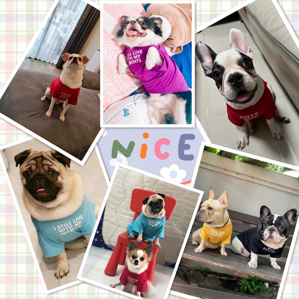 MASTI Áo thun cổ tròn vải thoáng mát phong cách mùa hè cho thú cưng  LI0332