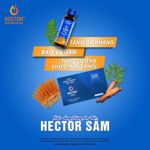 NƯỚC ĐÔNG TRÙNG HẠ THẢO HECTOR SÂM