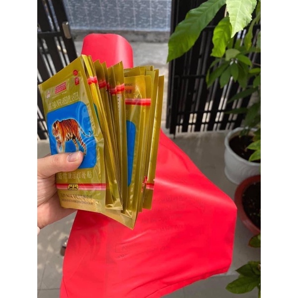 Set 10 túi cao dán cop