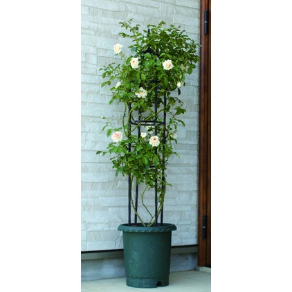 Tháp Chuông - Khung giá đỡ hoa hồng - Khung trồng cây hoa leo