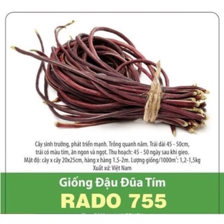Hạt giống đậu đũa tím Rado 755