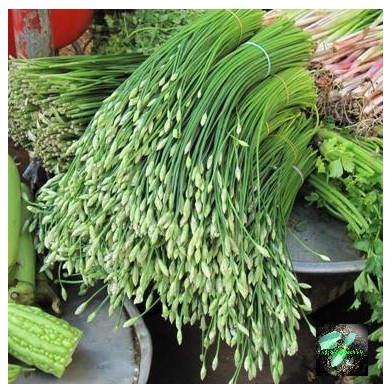 Hạt giống hẹ ăn bông, đóng gói 1gr
