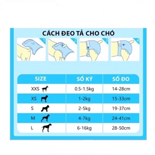TẢ-BỈM CHÓ CÁI