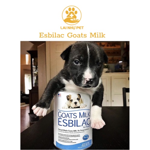 Sữa Bột & Sữa Nước ESBILAC GOATS MILK NGUYÊN CHẤT USA - LAI NHỰ PET