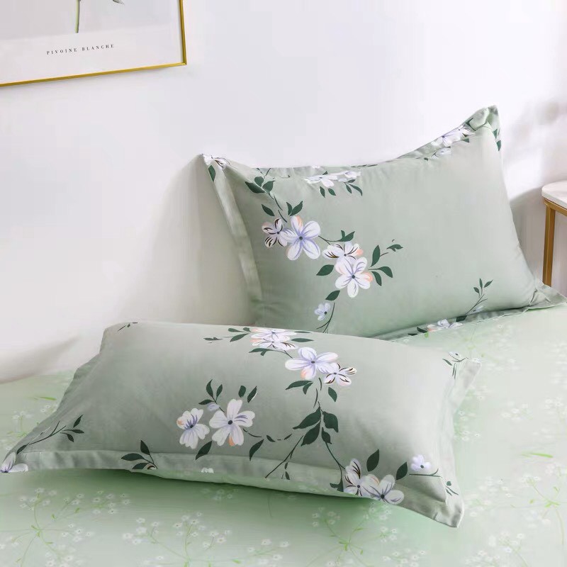 Bộ Chăn Ga Gối Cotton Poly Nhập Mẫu Hoa Dây Xanh