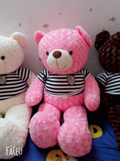 Gấu bông teddy cao cấp, gấu bông teddy lông xoắn mềm mịn, teddy hỏa tốc