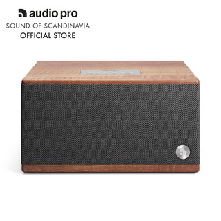Loa Bluetooth Audio Pro BT5