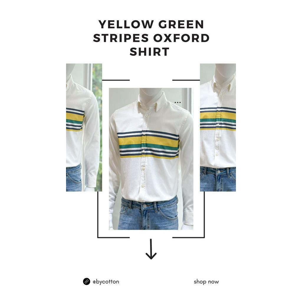 Áo Sơ Mi Nam Cao Cấp Phối Sọc Yellow Green Stripes Oxford Shirt BY COTTON